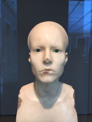 Punta della Dogana by null