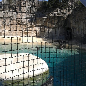 Brookfield Zoo Chicago - Zoos Near Me - Brookfield, Illinois