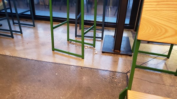 Shake Shack Assembly Row by null