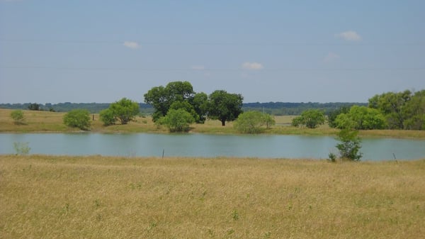 BROKEN BOW RANCH 43 Photos 59 Reviews 1755 E Malloy Bridge Rd