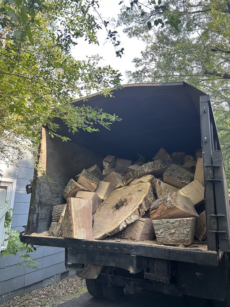 Beaver Bill's Tree Service - tree service in Atlanta, GA