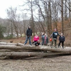 A&B American Tree Service