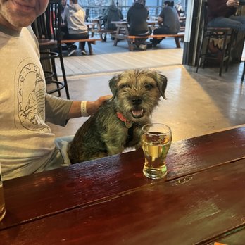 HopFusion Ale Works - Dog Friendly indoors! - Brewpubs Near Me - Fort Worth, Texas