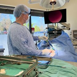Animal Care Clinic - Laparoscopic Surgery