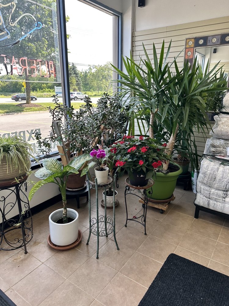 COZY CLEANERS 15 Reviews 701 N Milwaukee Ave, Vernon Hills