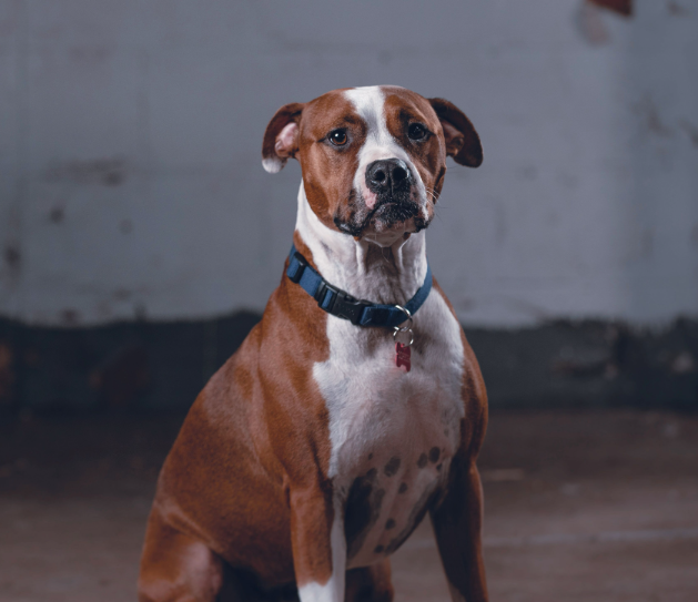 Slide of L D Smith Plumbing