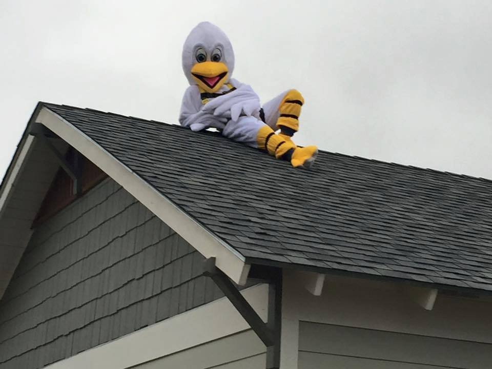 Slide of Pelican Roofing