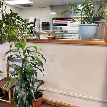 Cedar House Cafeteria - Plants - Southern Near Me - Birmingham, Alabama