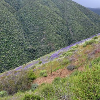 Bedford Peak Trail - Hiking Near Me - Trabuco, California Bedford Peak Trail - Hiking Near Me - Trabuco, California