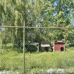 Wolf Park - Wolves are somewhere in there