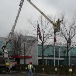 Aspen Tree Services