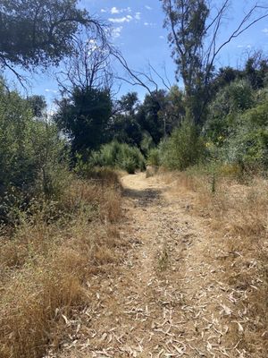 Peter Strauss Ranch by null