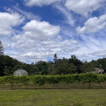Torne Valley Vineyards - Venues & Event Spaces Near Me - Suffern, New York Torne Valley Vineyards - Venues & Event Spaces Near Me - Suffern, New York
