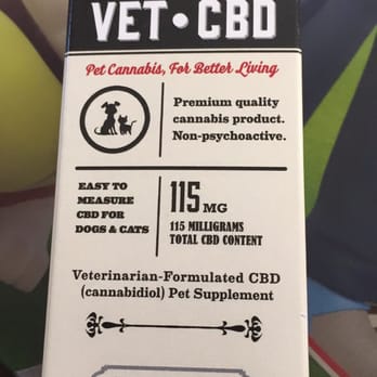 A Green Alternative - Medical Cannabis oil for dogs! How cool is that? - Cannabis Dispensaries Near Me - San Diego, California A Green Alternative - Medical Cannabis oil for dogs! How cool is that? - Cannabis Dispensaries Near Me - San Diego, California