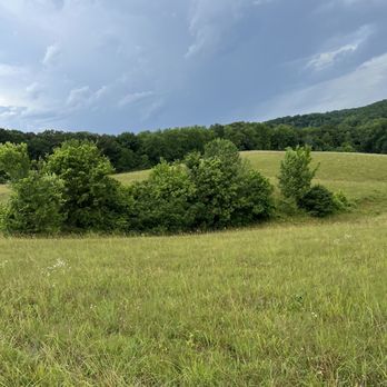 Natchez Trace Stables - Gorgeous pasture - Horseback Riding Near Me - Primm Springs, Tennessee Natchez Trace Stables - Gorgeous pasture - Horseback Riding Near Me - Primm Springs, Tennessee