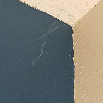 Residence Inn by Marriott Charleston Riverview - Cobwebs in suite - Hotels Near Me - Charleston, South Carolina Residence Inn by Marriott Charleston Riverview - Cobwebs in suite - Hotels Near Me - Charleston, South Carolina