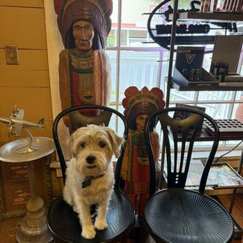 Havana Cabana - Artemus patiently waiting on me to load up on great cigars! - Tobacco Shops Near Me - Pawleys Island, South Carolina Havana Cabana - Artemus patiently waiting on me to load up on great cigars! - Tobacco Shops Near Me - Pawleys Island, South Carolina