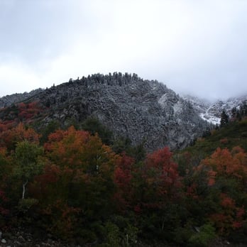 Snowbird - Fall Colors & Snow; changing of seasons Snowbird Resort - Ski Resorts Near Me - Snowbird, Utah