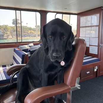 Paradiso Yacht Charters - First mate, Treble. - Boat Charters Near Me - Newport Beach, California Paradiso Yacht Charters - First mate, Treble. - Boat Charters Near Me - Newport Beach, California