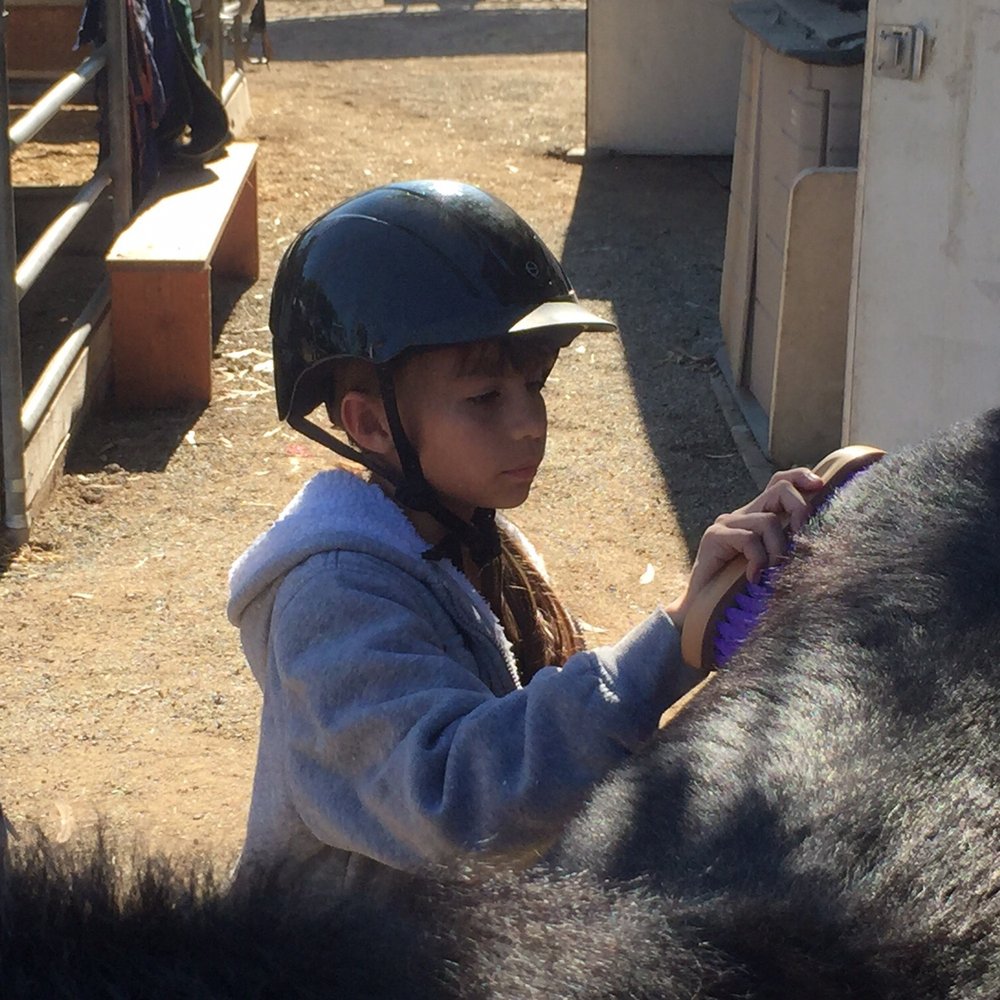 Yes U Can Ranch - Horseback Riding Near Me - Anaheim, California