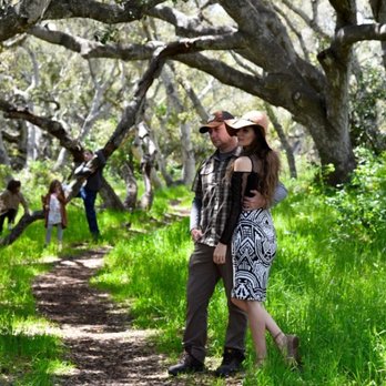 Los Osos Oaks State Reserve - Hiking Near Me - Los Osos, California Los Osos Oaks State Reserve - Hiking Near Me - Los Osos, California