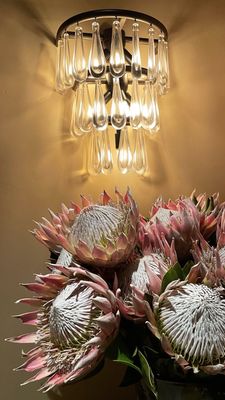 MIKA Coral Gables by null