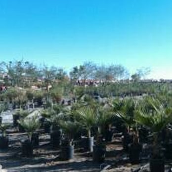 Yuma Nursery Supply - Nurseries & Gardening Near Me - Yuma, Arizona Yuma Nursery Supply - Nurseries & Gardening Near Me - Yuma, Arizona