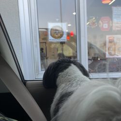 Shipley Do-Nuts - Rudy had to come back for more dog biscuits, while I had to get myself a blueberry donut! Donut was too good to get a picture before hand!