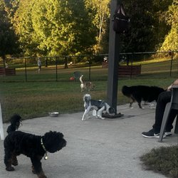Worthington Dog Park