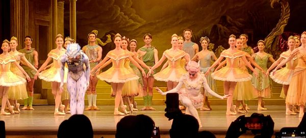 Metropolitan Opera House by null