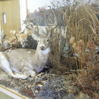 Prudence Island Learning and Research Center - Education Near Me