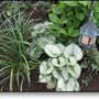 Photo of Garden Mentors