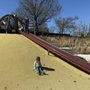 Photo of Fort Thomas Tower Park