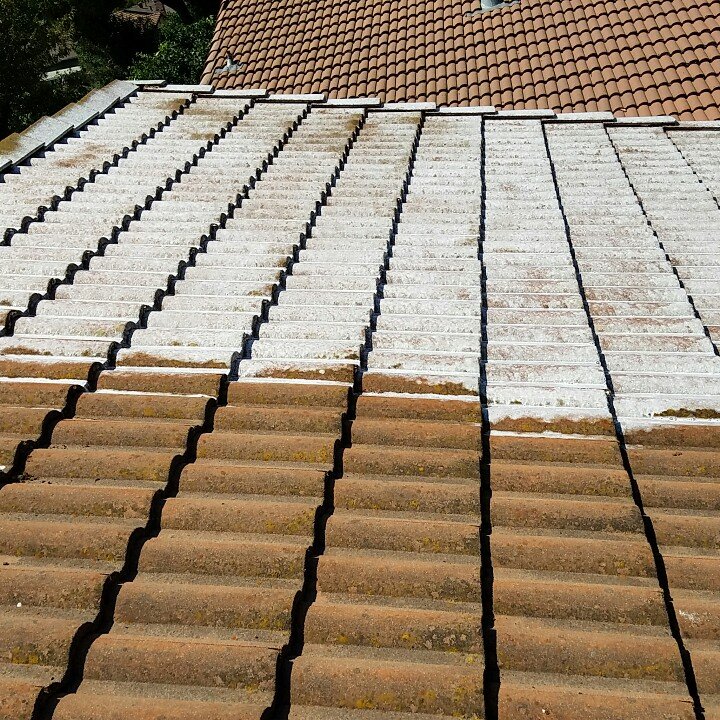 Slide of No Moss SoftWash