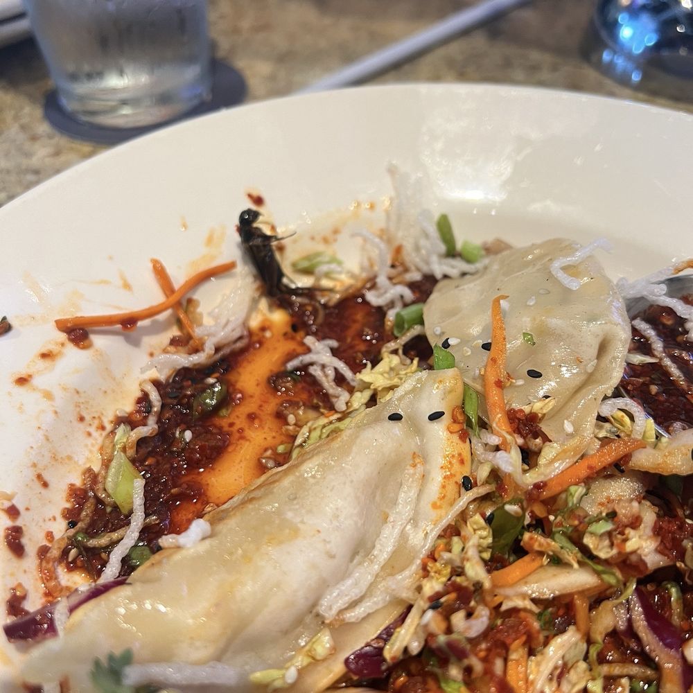 BJ's Restaurant & Brewhouse - Chili Crunch Pot Stickers - New American Near Me - Allen, Texas BJ's Restaurant & Brewhouse - Chili Crunch Pot Stickers - New American Near Me - Allen, Texas