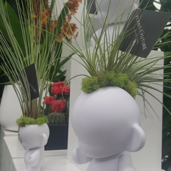Plant The Future - Mohawk Munnys! Too cool - Art Galleries Near Me - Miami, Florida Plant The Future - Mohawk Munnys! Too cool - Art Galleries Near Me - Miami, Florida