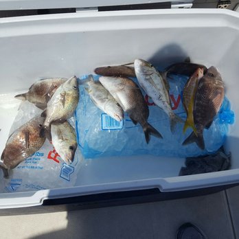 Captain Gregg Fishing Charters - Boat Charters Near Me - Sarasota, Florida