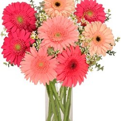 Lee & Lan Florist, Inc.