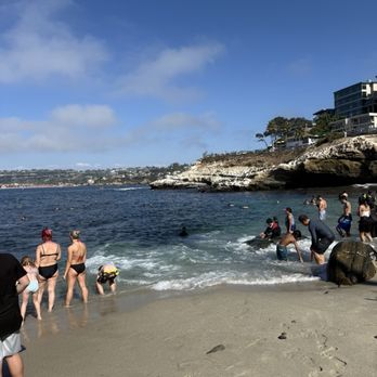 La Jolla Cove - beach pics! - Parks Near Me - La Jolla, California La Jolla Cove - beach pics! - Parks Near Me - La Jolla, California