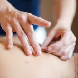 On Point Acupuncture and Wellness Center - Acupuncture
