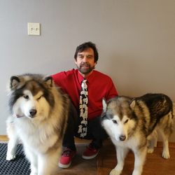 Dr MacDonald and dogs Rex (left) and Takoda (right)