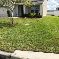 Tip Of The Spear Lawn Care