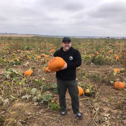 Pumpkin harvesting Pumpkin harvesting