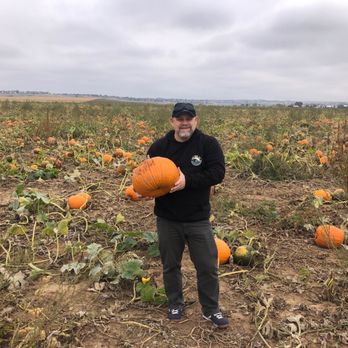 Rock Creek Farm - Pumpkin harvesting - Pumpkin Patches Near Me - Broomfield, Colorado Rock Creek Farm - Pumpkin harvesting - Pumpkin Patches Near Me - Broomfield, Colorado
