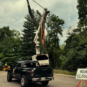 Native Tree Care - emergency storm removal - Tree Services Near Me - Amelia, Ohio Native Tree Care - emergency storm removal - Tree Services Near Me - Amelia, Ohio
