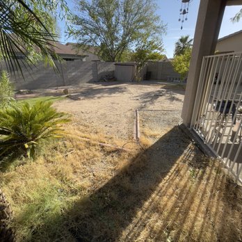 Unique Choice Design - Weed grass infested - Tree Services Near Me