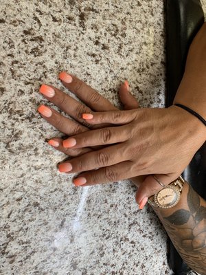 NAILS 99 - 33 Photos & 14 Reviews - 99 Franklin Village Mal, Kittanning