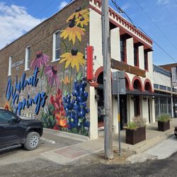Bosque Cantina - Mural
