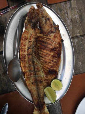 Tambaqui de Banda by null