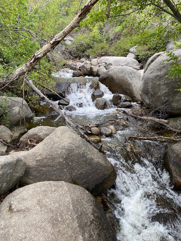 BELL CANYON Updated August 2024 209 Photos & 40 Reviews 33883398